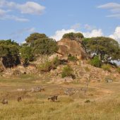  The Serengeti, TZ